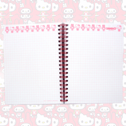 ͸Hello Kitty_Hello Kitty-u鵧O-rPMM